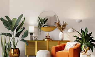 home 6